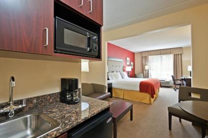 Holiday Inn Express Hotel & Suites Kodak East-Sevierville an IHG Hotel - image 14
