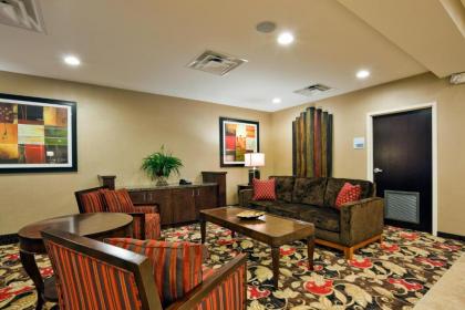 Holiday Inn Express Hotel & Suites Kodak East-Sevierville an IHG Hotel - image 16