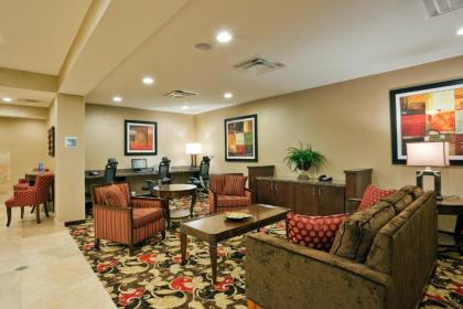 Holiday Inn Express Hotel & Suites Kodak East-Sevierville an IHG Hotel - image 20