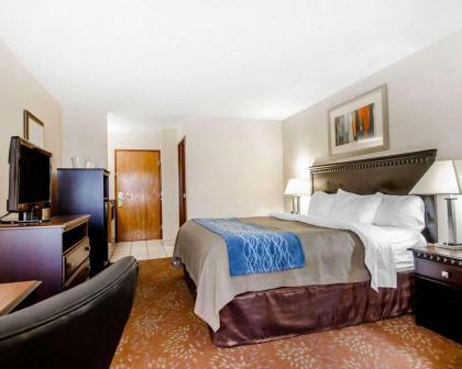 Comfort Inn & Suites La Grange - image 21