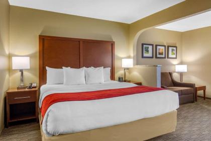 Comfort Inn & Suites LaGrange - image 12