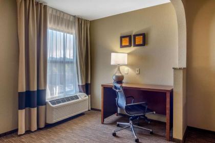 Comfort Inn & Suites LaGrange - image 8