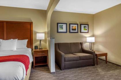 Comfort Inn & Suites LaGrange - image 9