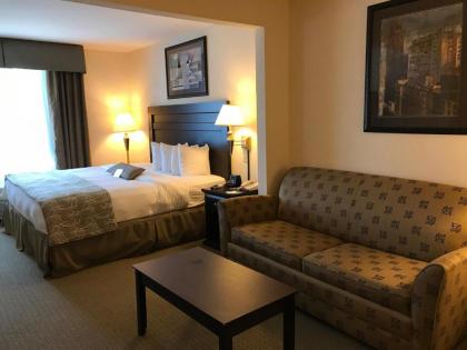Wingate by Wyndham LaGrange - image 9