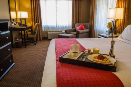 Holiday Inn La Mesa an IHG Hotel - image 6