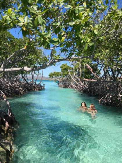 La Jamaca - image 13