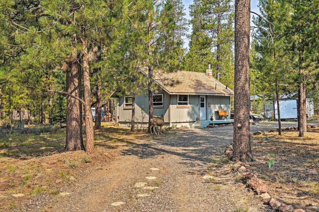 High Lakes Hideaway La Pine Fishing Cabin! - main image