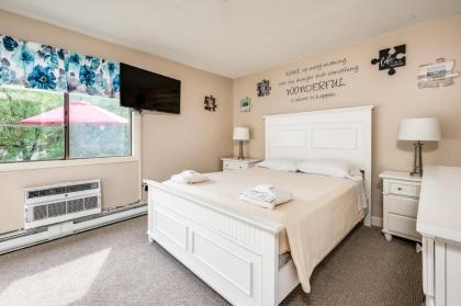 Lake Winni - Condo - 205 - image 13