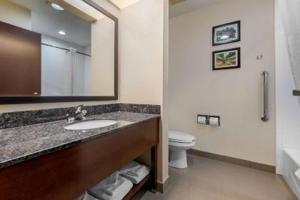 Comfort Suites Lafayette University Area - image 3