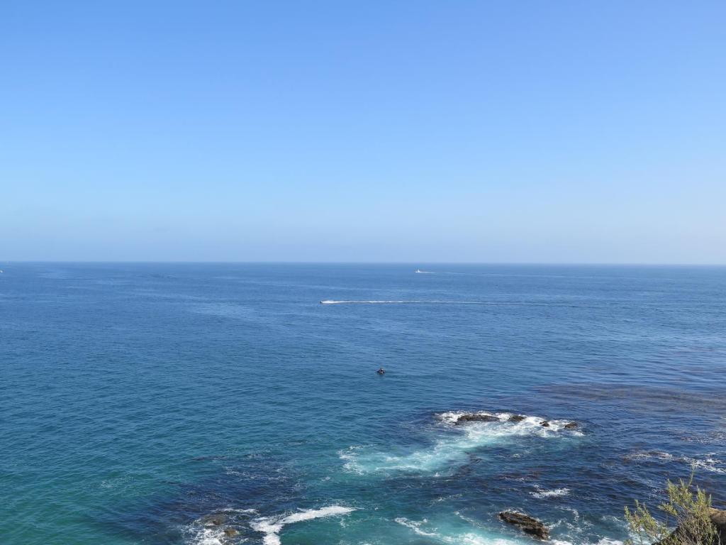Art Hotel Laguna Beach - image 3