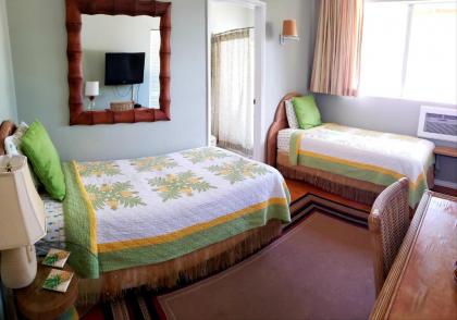 Old Lahaina House-Walk to town & beach! - image 5