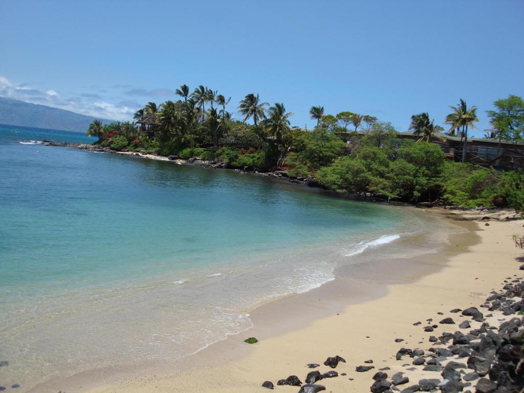 Maui Beach House B & B - image 4