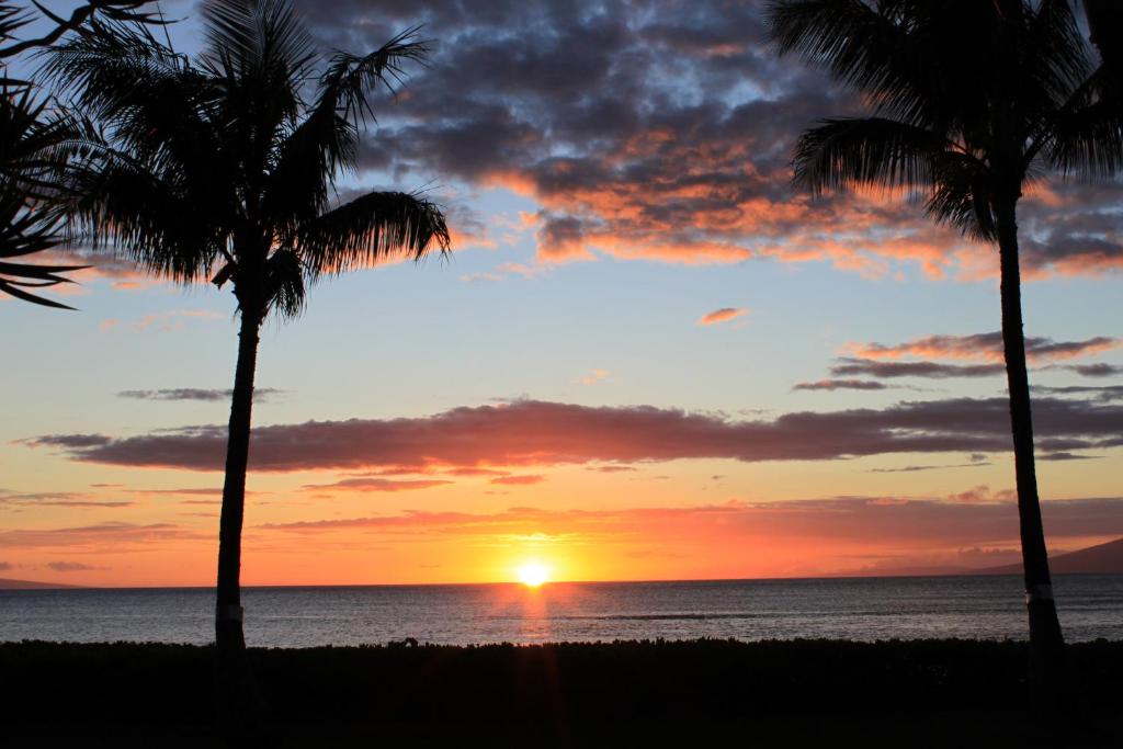 Royal Kahana 201 - main image