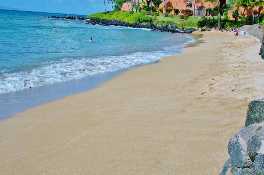 Hale Mahina #A-201 by Ali'i Resorts - main image