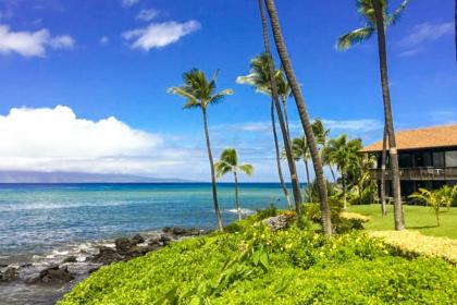 Mahina Surf II - image 10