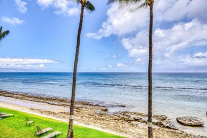 Paki Maui 202A - image 9
