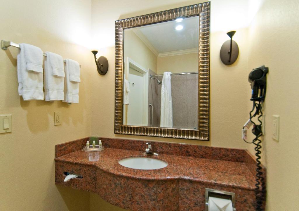 Holiday Inn Hotel & Suites Lake Charles South an IHG Hotel - image 2