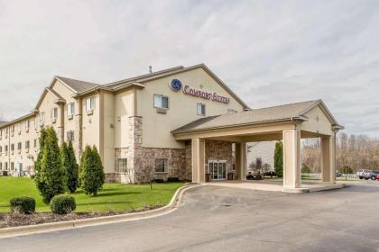 Comfort Suites Lake Geneva East - image 11
