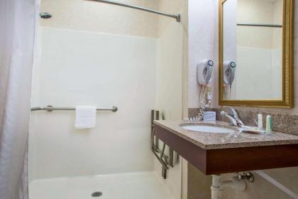 Comfort Suites Lake Geneva East - image 15
