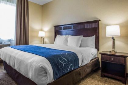Comfort Suites Lake Geneva East - image 3