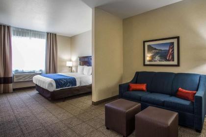 Comfort Suites Lake Geneva East - image 4