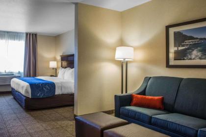 Comfort Suites Lake Geneva East - image 8