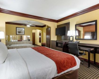 Comfort Suites Lake Jackson Clute - image 12