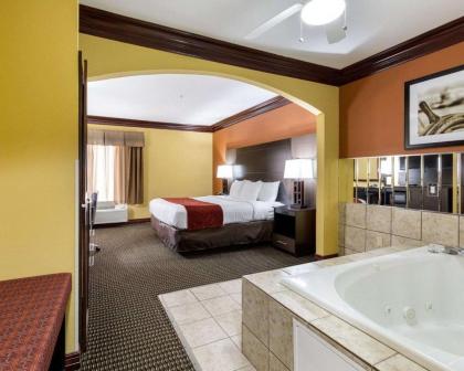 Comfort Suites Lake Jackson Clute - image 13