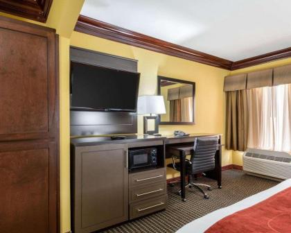 Comfort Suites Lake Jackson Clute - image 3