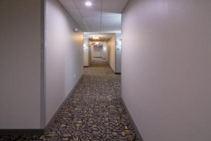 Staybridge Suites - Lake Jackson an IHG Hotel - image 8