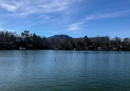 Max's Blue Lakeside Cottage - image 10