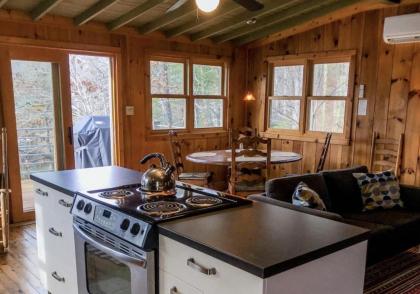 Max's Blue Lakeside Cottage - image 5