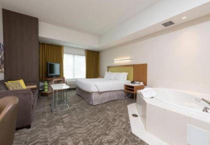 SpringHill Suites Detroit Auburn Hills - image 11