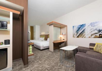 SpringHill Suites Detroit Auburn Hills - image 9