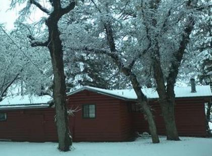 Lumbermen's Village - image 3
