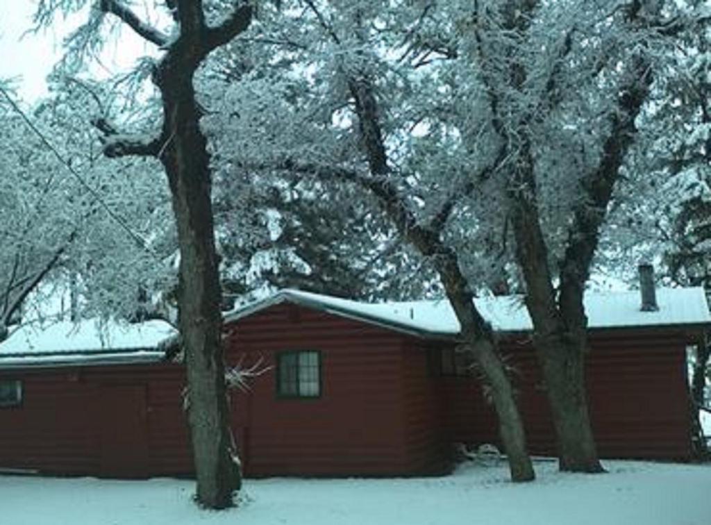 Lumbermen's Village - image 3