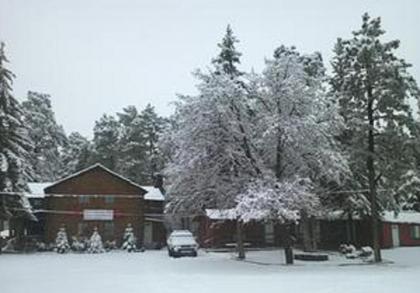 Lumbermen's Village - image 4