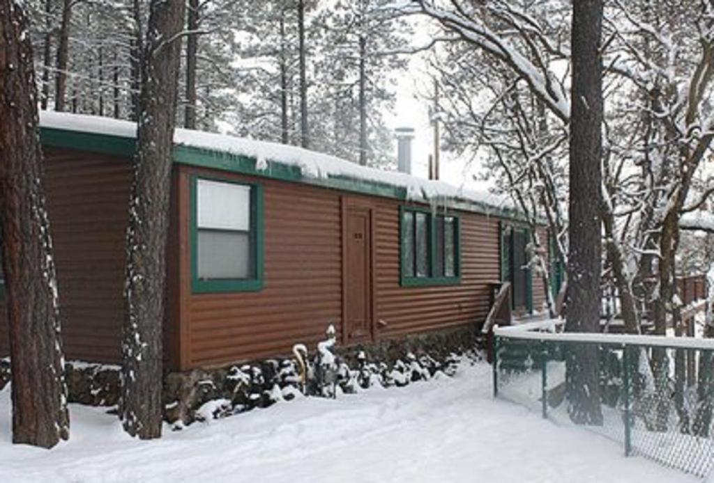 Lumbermen's Village - image 6
