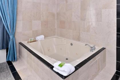 Holiday Inn Express Hotel & Suites Tacoma South - Lakewood an IHG Hotel - image 10