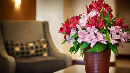 Best Western Lamesa Inn & Suites - image 3