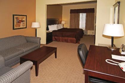 Best Western Lamesa Inn & Suites - image 5