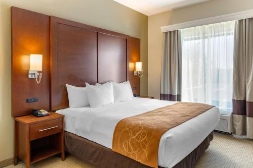 Comfort Suites Amish Country - image 2