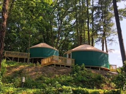 Circle M Camping Resort 16 ft. Yurt 1 - image 3