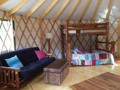 Circle M Camping Resort 24 ft. Yurt 2 - image 2