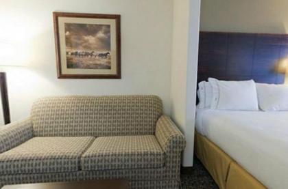 Holiday Inn Express Hotel & Suites Lander an IHG Hotel - image 3
