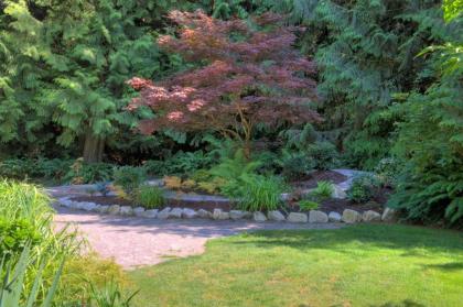 218 - Rhythm Waters - image 4