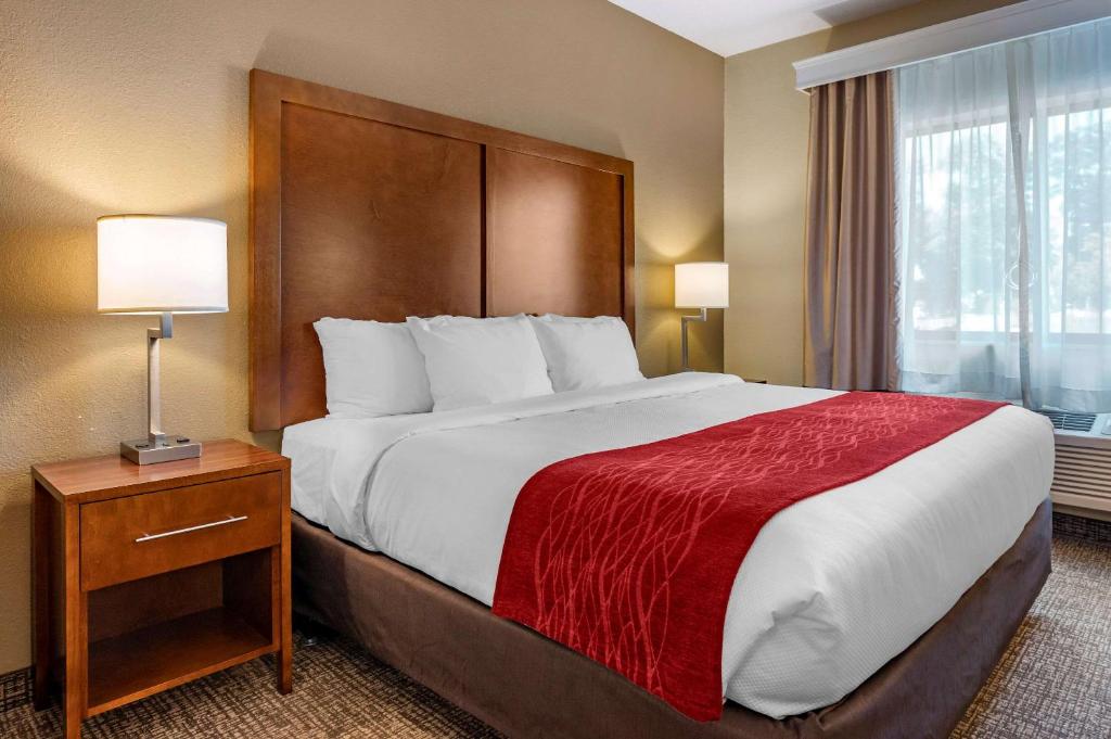 Comfort Inn La Porte - main image
