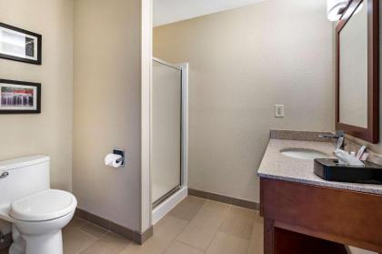 Comfort Inn La Porte - image 11