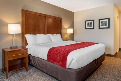 Comfort Inn La Porte - image 15