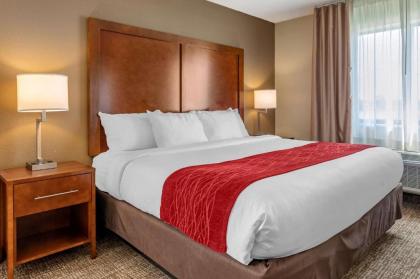 Comfort Inn La Porte - image 18